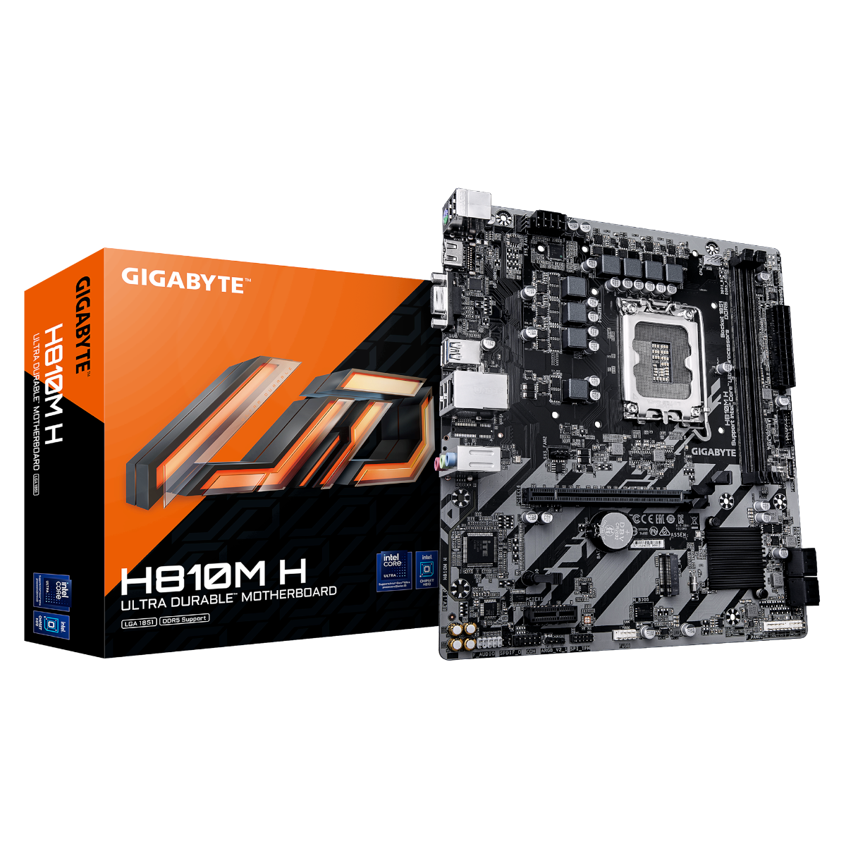 Gigabyte H810M H Bundkort