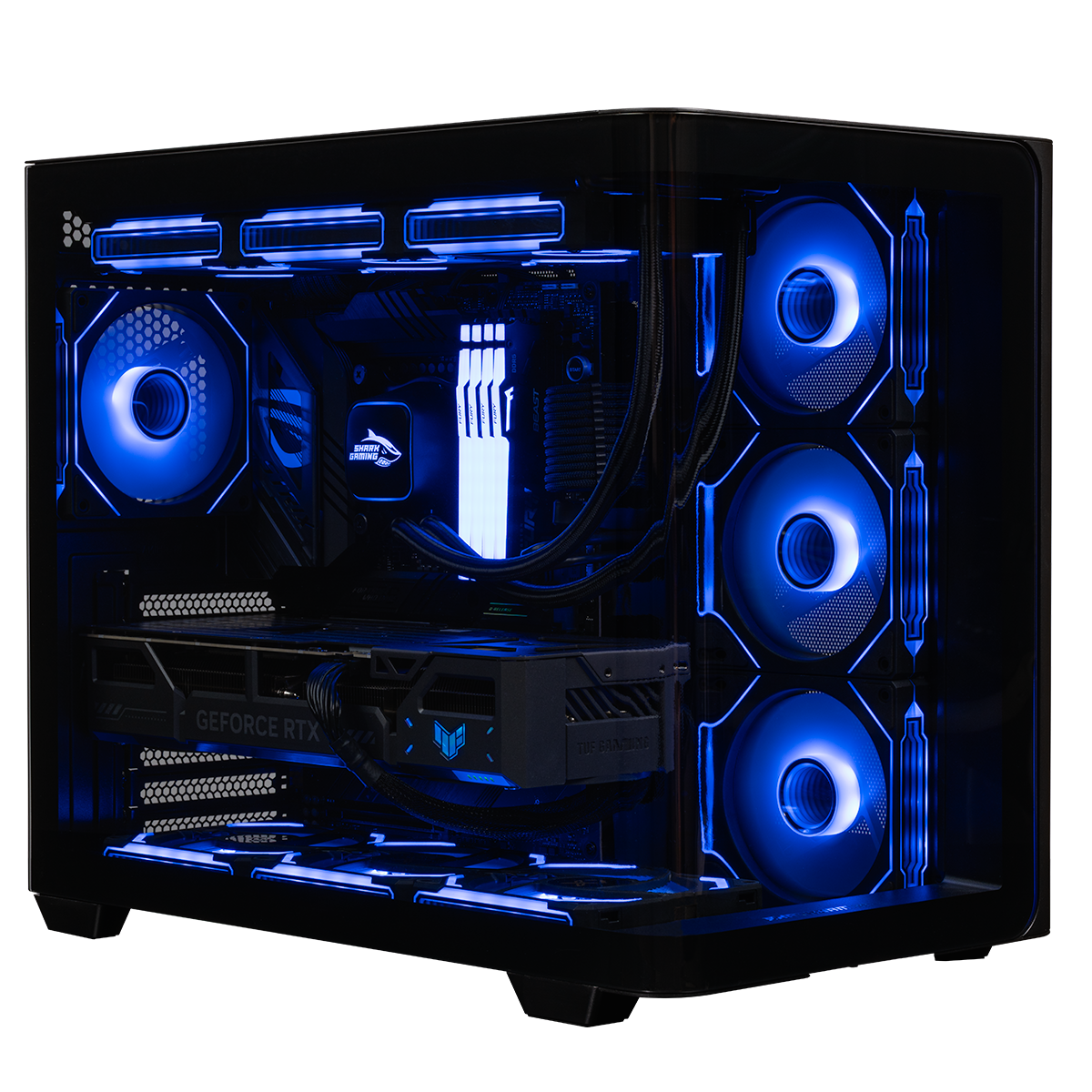 Shark Brutality Gaming PC