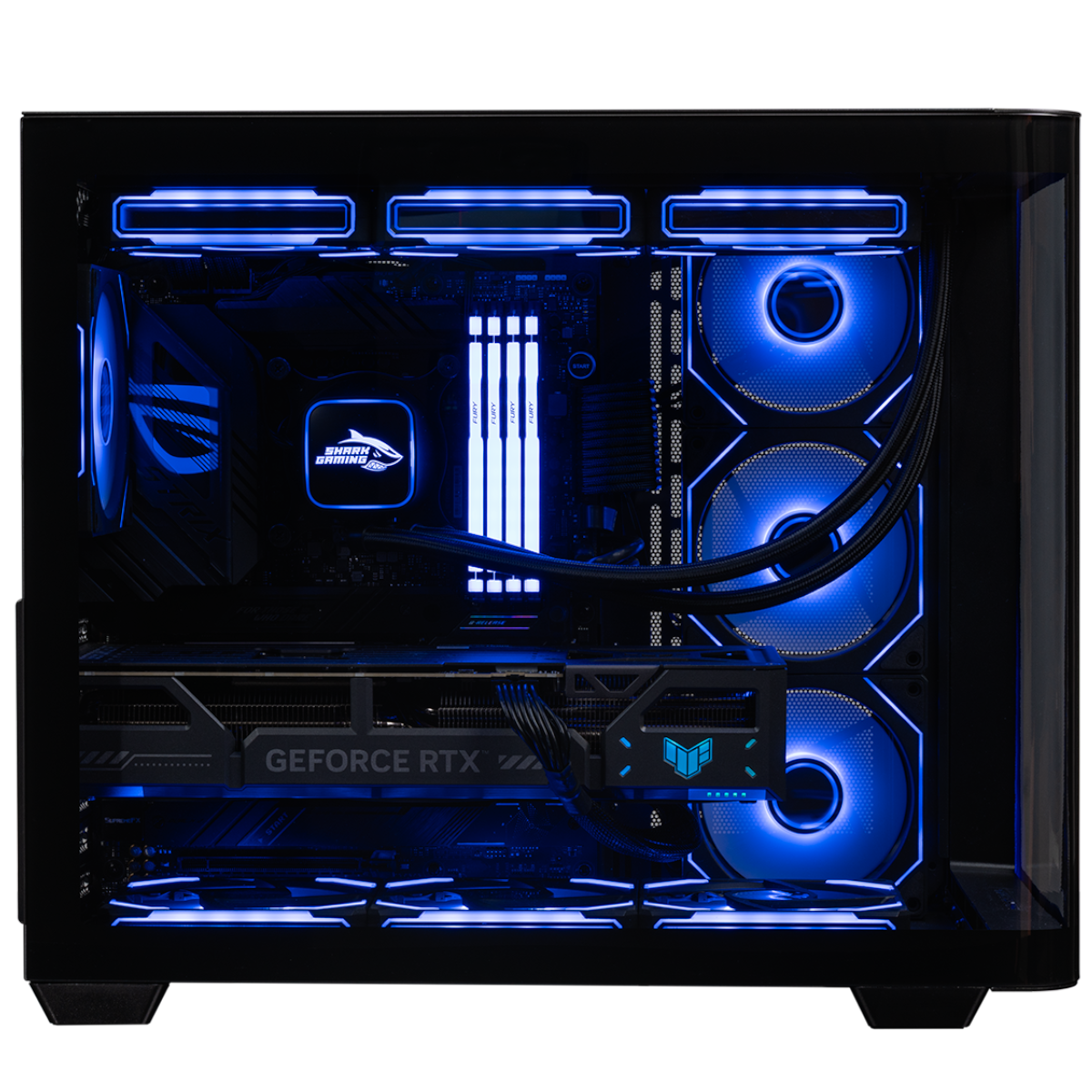 Shark Brutality Gaming PC