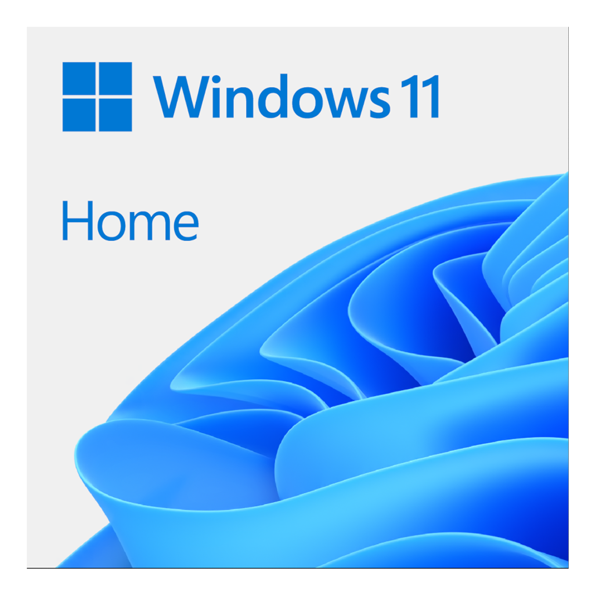 Windows 11 Home Fysisk 