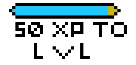 Experience meter Xp meter